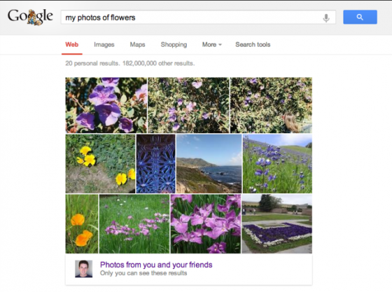 Google搜索整合Google+照片