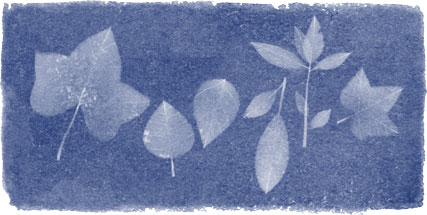 Google Doodle：安娜·阿特金斯诞辰216周年